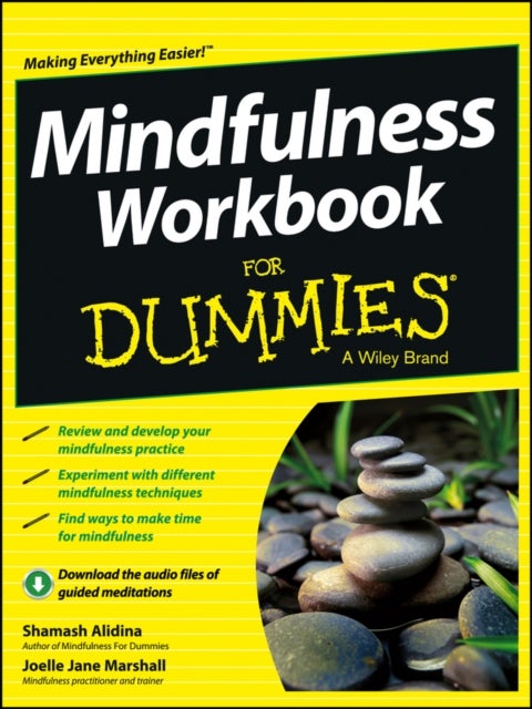 Mindfulness Workbook For Dummies (with Online Audio)