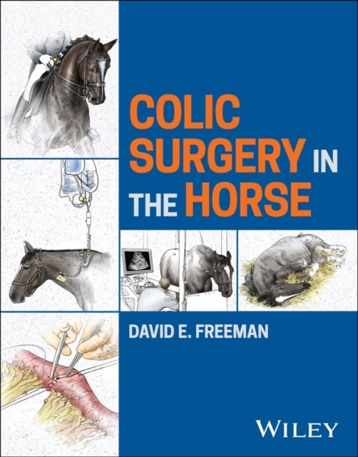 Colic Surgery in the Horse