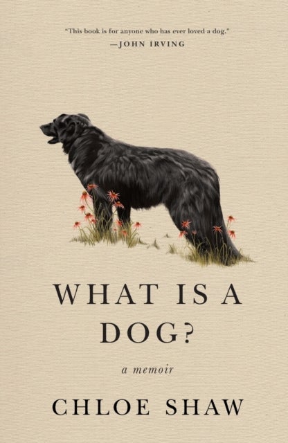 What Is A Dog? - A Memoir