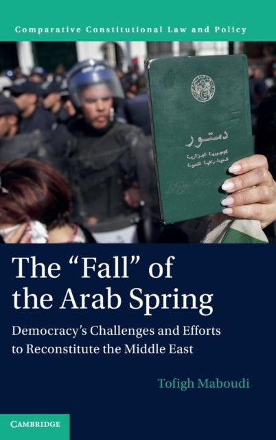 The "Fall" of the Arab Spring - Democracy's Challenges and Efforts to Reconstitute the Middle East