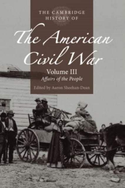 The Cambridge History of the American Civil War