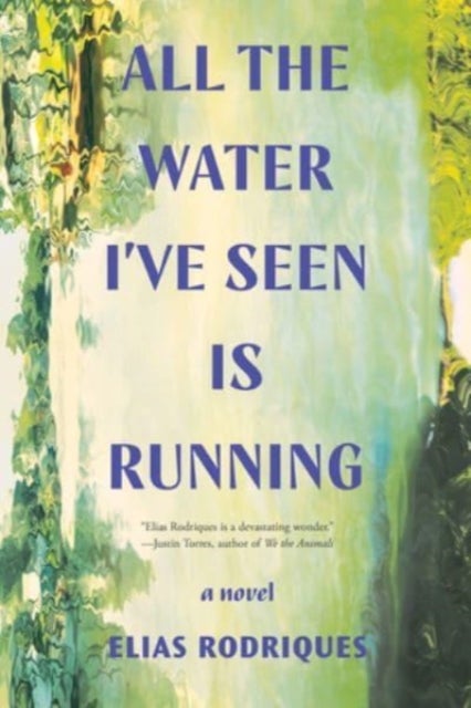All the Water I've Seen Is Running av Elias Rodriques