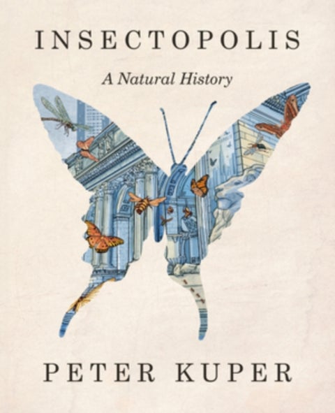Insectopolis – A Natural History - A Natural History