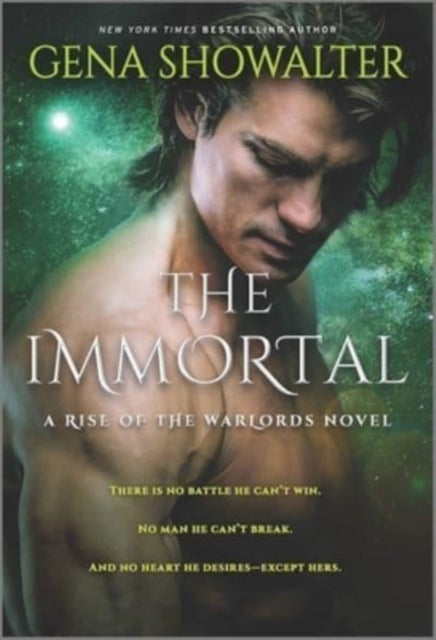 The Immortal - A Fantasy Romance Novel