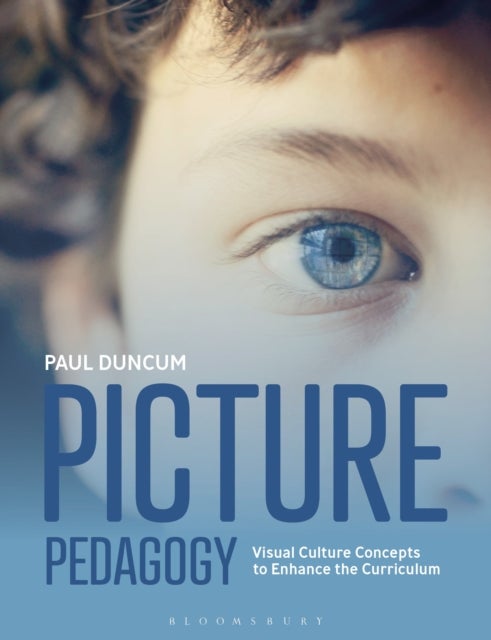 Picture Pedagogy - Visual Culture Concepts to Enhance the Curriculum