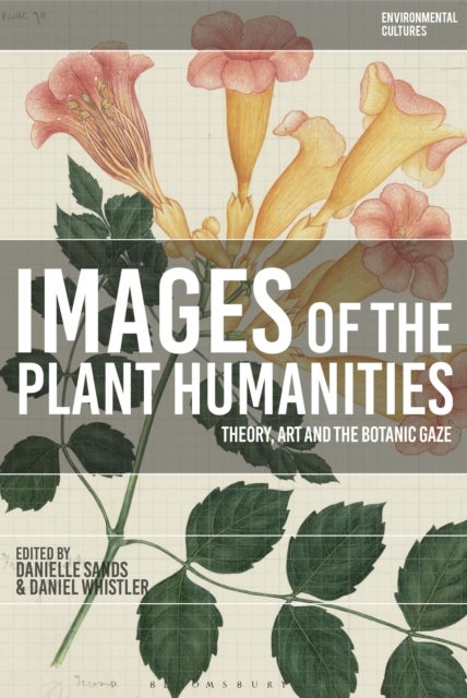 Images of the Plant Humanities - Theory, Art and the Botanic Gaze