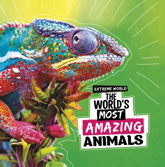 World''s Most Amazing Animals