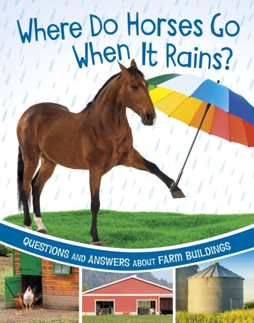 Where Do Horses Go When It Rains? - Questions and Answers About Farm Buildings