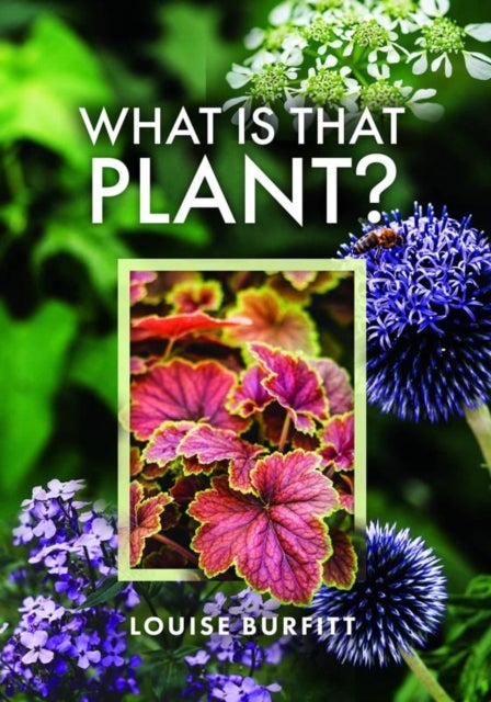 What Is That Plant?