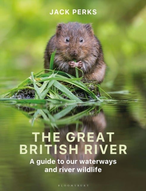Great British River - A guide to our waterways and river wildlife