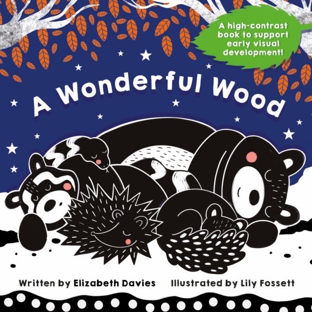 A Wonderful Wood: A Black-and-White High-Contrast Storybook for Newborns and Children aged 0-5