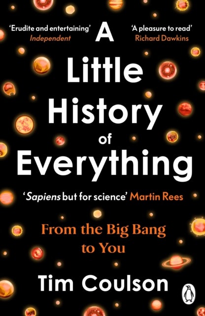 Little History of Everything - From the Big Bang to You