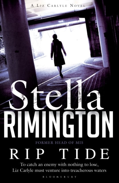 Rip Tide - A Liz Carlyle novel