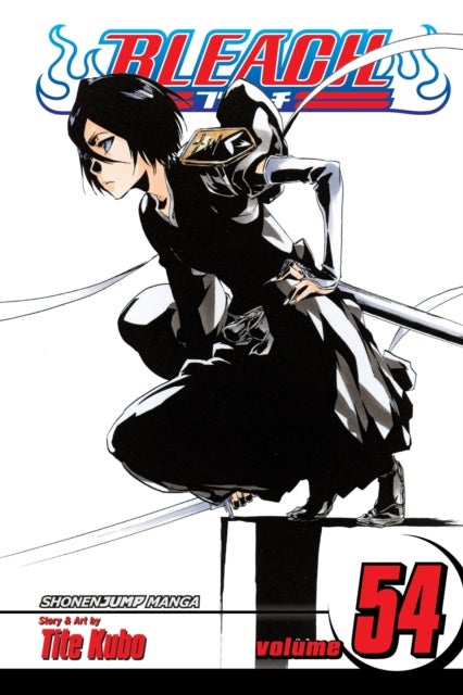 Bleach, Vol. 54 - Goodbye to Our Xcution