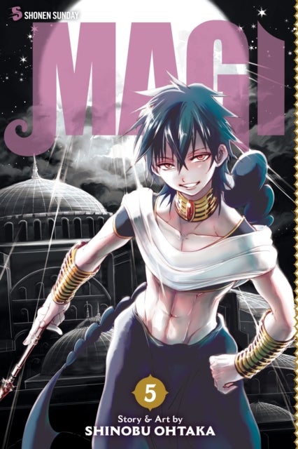 Magi: The Labyrinth of Magic, Vol. 5 - The Labyrinth of Magic