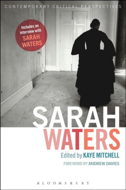 Sarah Waters - Contemporary Critical Perspectives