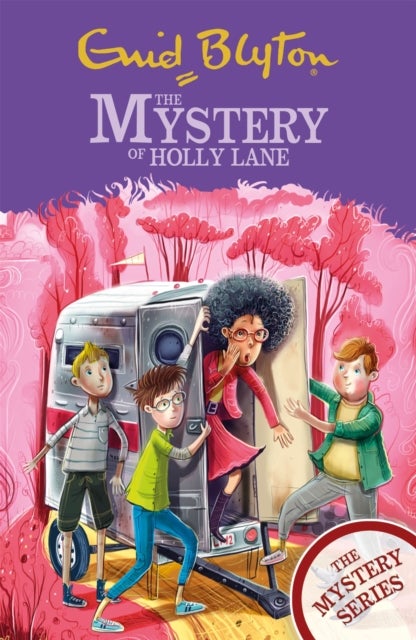 The Mystery Series: The Mystery of Holly Lane - Book 11