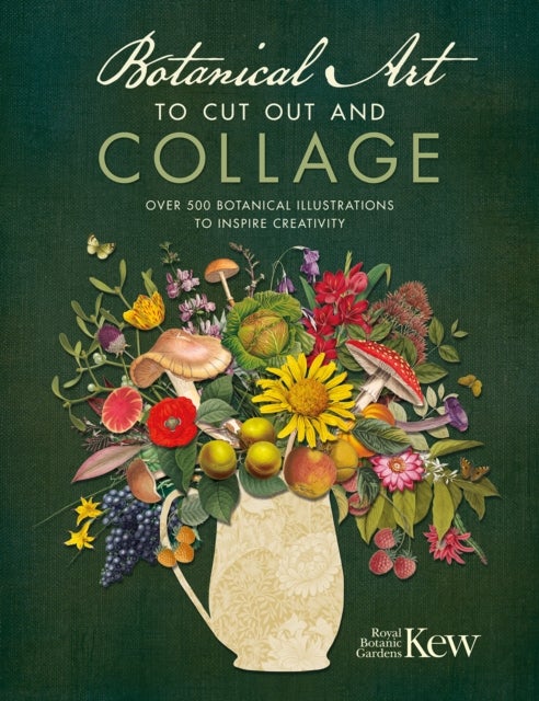 Botanical Art to Cut out and Collage - Over 500 Botanical Illustrations to Inspire Creativity