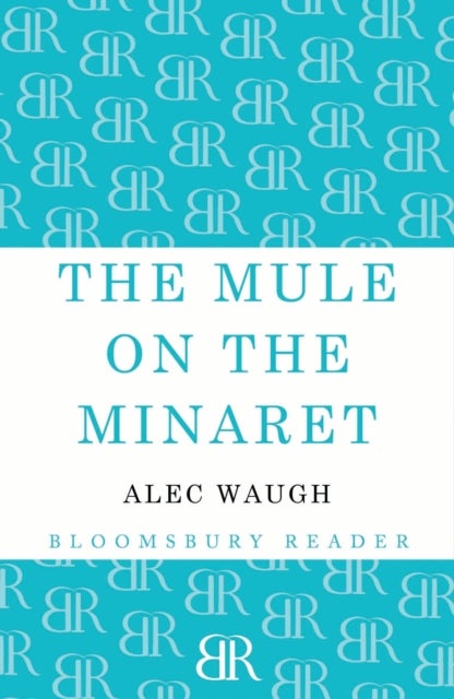 Mule on the Minaret - A Novel about the Middle East