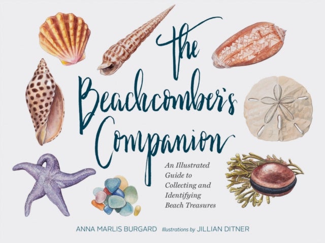 Beachcomber's Companion - An Illustrated Guide to Collecting and Identifying Beach Treasures