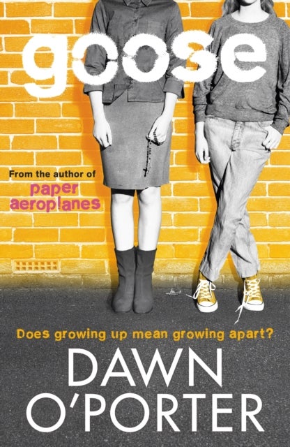 Goose - the second novel about Honey Bee's Renee and Flo