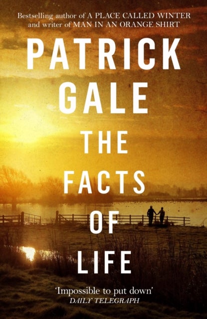 The Facts of Life - An epic, intimate novel of love, music and the life events that stay with us forever