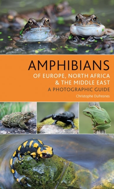 Amphibians of Europe, North Africa and the Middle East - A Photographic Guide