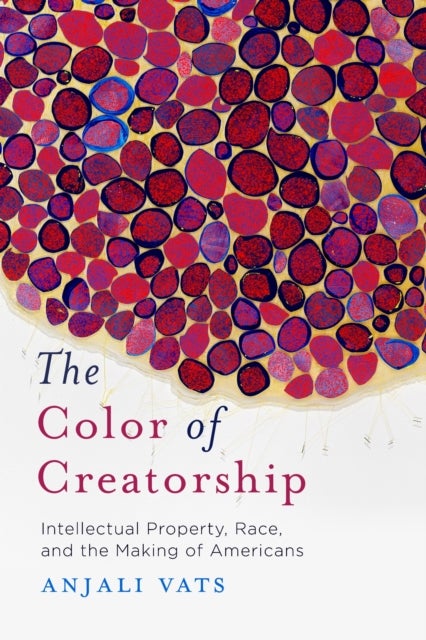 The Color of Creatorship - Intellectual Property, Race, and the Making of Americans