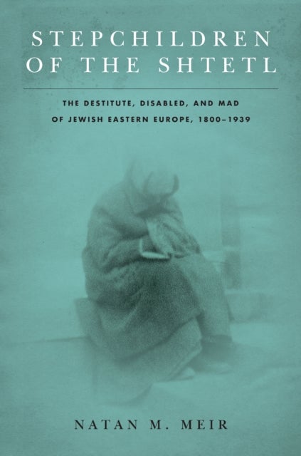 Stepchildren of the Shtetl - The Destitute, Disabled, and Mad of Jewish Eastern Europe, 1800-1939
