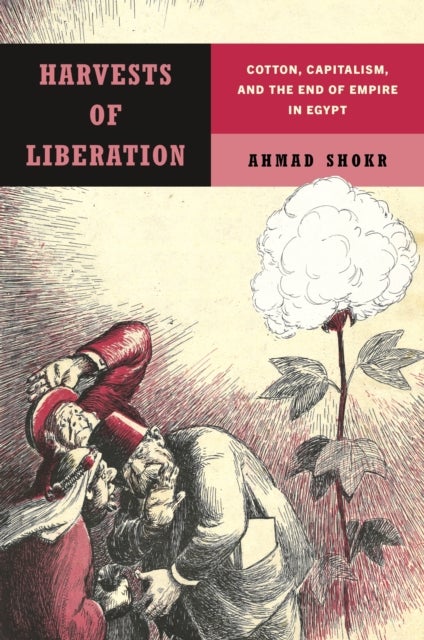 Harvests of Liberation - Cotton, Capitalism, and the End of Empire in Egypt