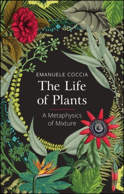 Life of Plants - A Metaphysics of Mixture