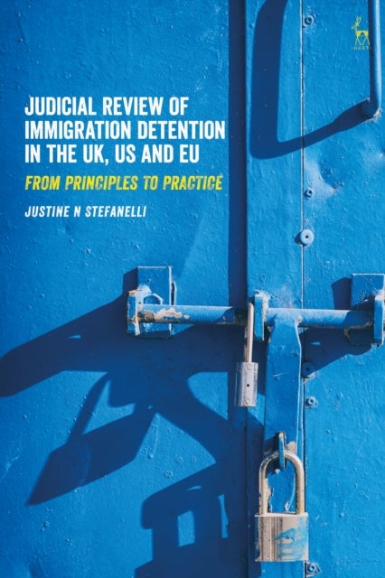 Judicial Review of Immigration Detention in the UK, US and EU - From Principles to Practice