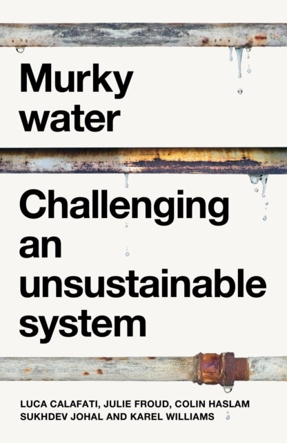 Murky water - Challenging an unsustainable system