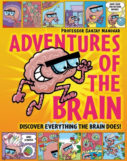 Adventures of the Brain - What the brain does and how it works