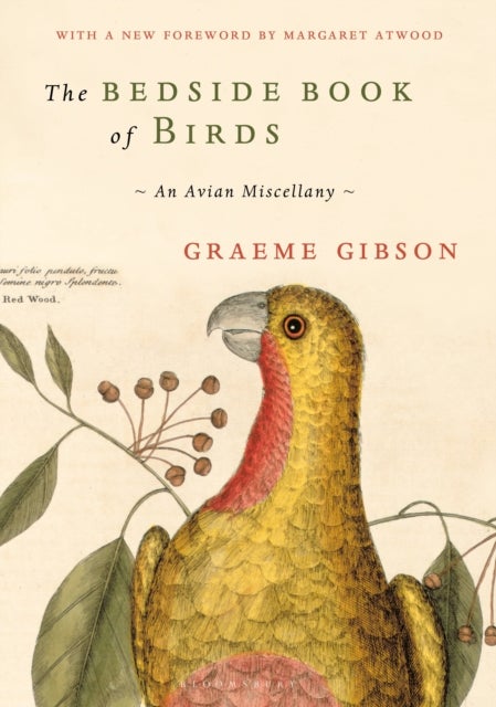 Bedside Book of Birds