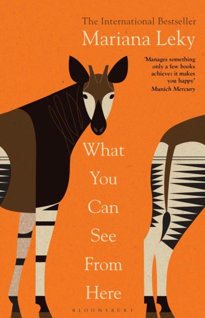 What You Can See From Here - 'A clear-eyed tonic in troubled times' (Guardian)