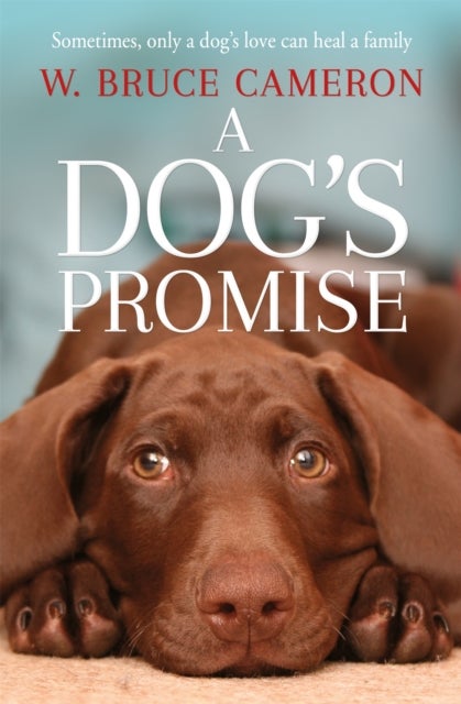 Dog''s Promise