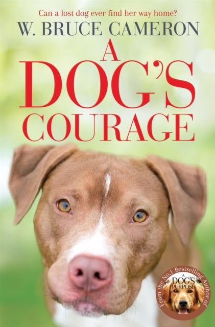 Dog''s Courage