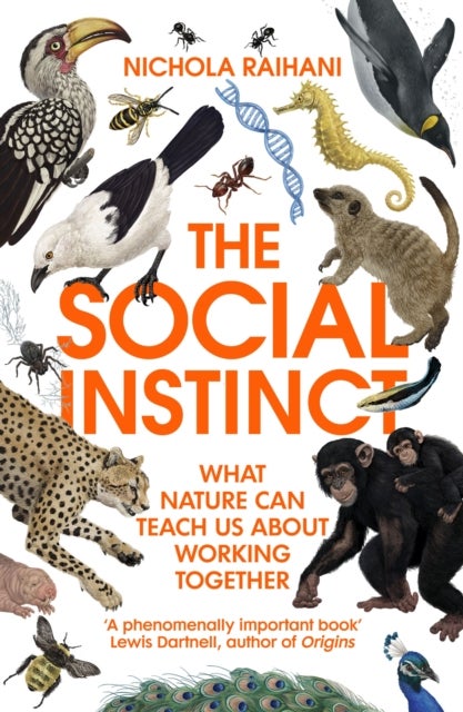 Social Instinct - What Nature Can Teach Us About Working Together