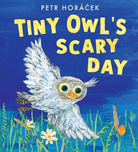 Tiny Owl''s Scary Day