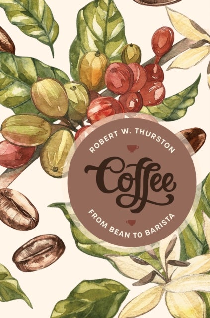 Coffee - From Bean to Barista