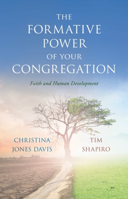 Formative Power of Your Congregation - Faith and Human Development