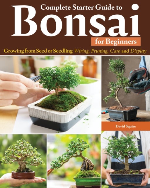 Complete Starter Guide to Bonsai - Growing from Seed or Seedling--Wiring, Pruning, Care, and Display