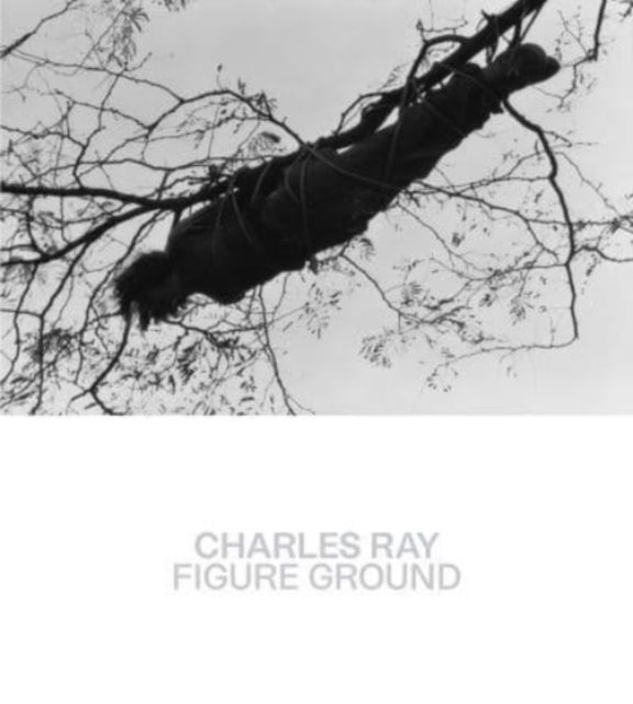 Charles Ray – Figure Ground - Figure Ground