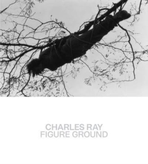 Charles Ray – Figure Ground - Figure Ground