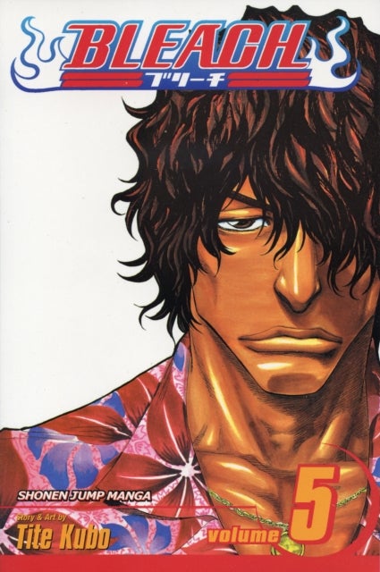 Bleach, Vol. 5 - Right Arm of the Giant