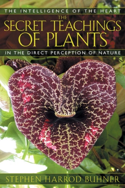 The Secret Teachings of Plants - The Intelligence of the Heart in the Direct Perception of Nature