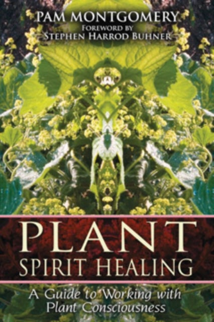 Plant Spirit Healing - A Guide to Working with Plant Consciousness