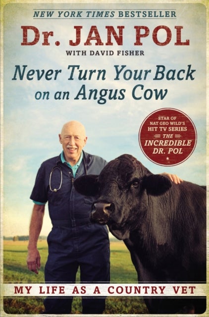 Never Turn Your Back On An Angus Cow - My Life as a Country Vet
