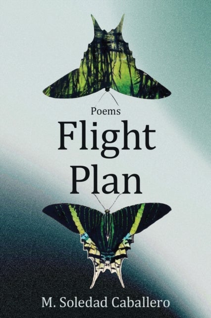 Flight Plan - Poems